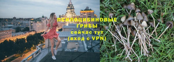 СК Липки