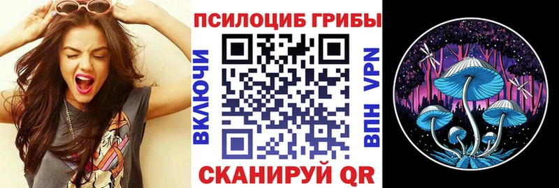 мега рабочий сайт  Среднеколымск  Псилоцибиновые грибы мухоморы  цены  